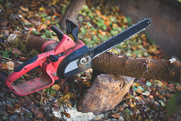 Best Lawn Pest Prevention  in Appalachia, VA